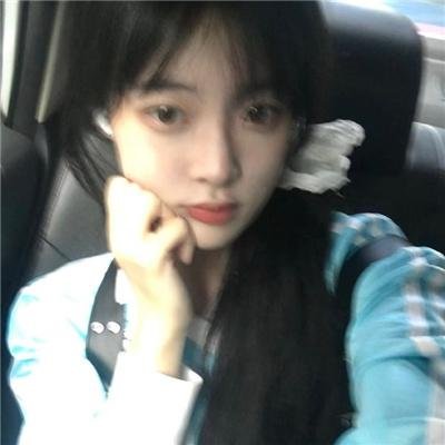 科搜研之女第24季
